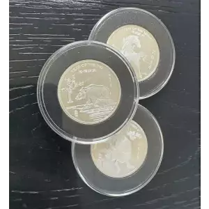 1/2oz Silver Premium Rounds