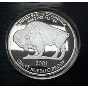 1 oz Giant Buffalo Silver Round