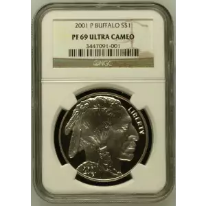 2001 BUFFALO ULTRA CAMEO (2)