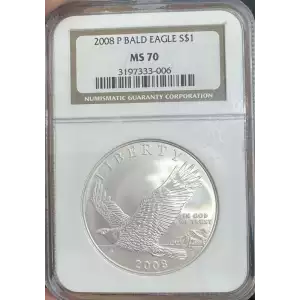 2008 BALD EAGLE