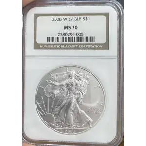 2008 W BURNISHED SILVER EAGLE
