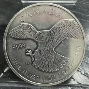 2014 1oz  Canada $5 Silver Peregrine Falcon (2)