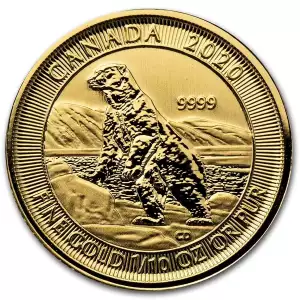 2020 1/10 oz Canadian Gold Polar Bear Coin (2)