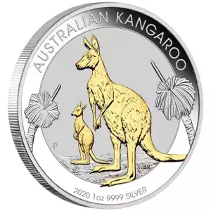 2020 1 oz Australian Gilded Silver Kangaroo Coin (Box + CoA) (4)