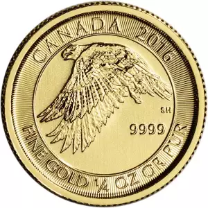 Canadian Gold Snow Falcon (2)