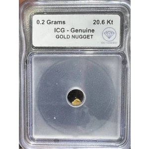 Gold Nugget 0.2 Gram