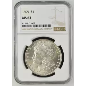 Morgan Silver Dollar (2)