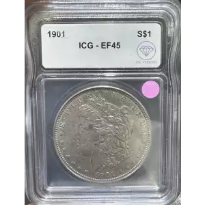 Morgan Silver Dollar (2)