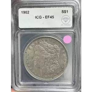 Morgan Silver Dollar (2)