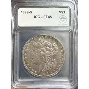 Morgan Silver Dollar (2)