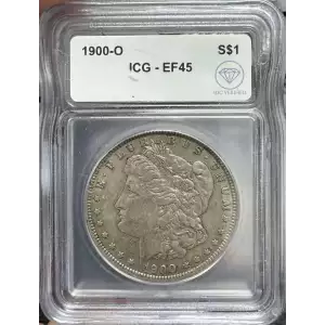 Morgan Silver Dollar (2)