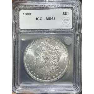 Morgan Silver Dollar