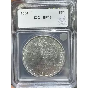 Morgan Silver Dollar