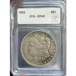 Morgan Silver Dollar