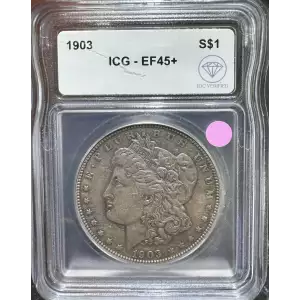 Morgan Silver Dollar