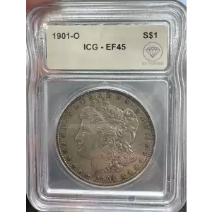 Morgan Silver Dollar