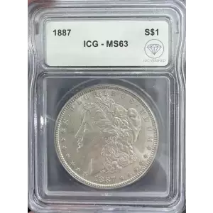 Morgan Silver Dollar (2)