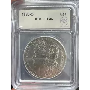 Morgan Silver Dollar (2)