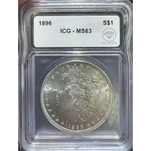 Morgan Silver Dollar (2)