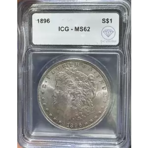 Morgan Silver Dollar (2)