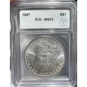 Morgan Silver Dollar