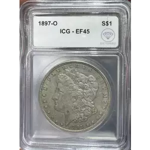 Morgan Silver Dollar (2)