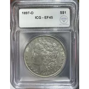 Morgan Silver Dollar (2)