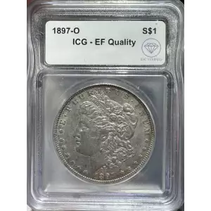 Morgan Silver Dollar (2)