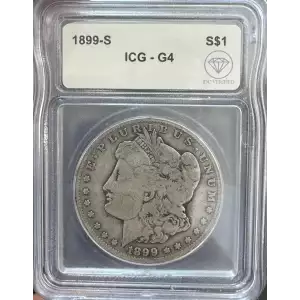 Morgan Silver Dollar (2)