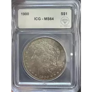 Morgan Silver Dollar (2)