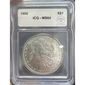 Morgan Silver Dollar (2)