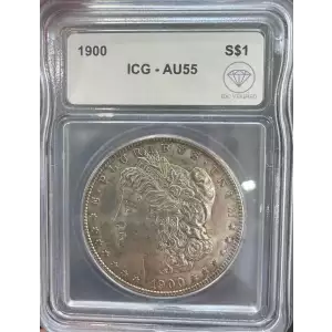 Morgan Silver Dollar (2)