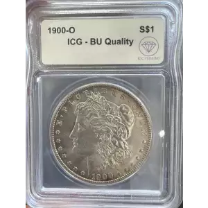 Morgan Silver Dollar (2)