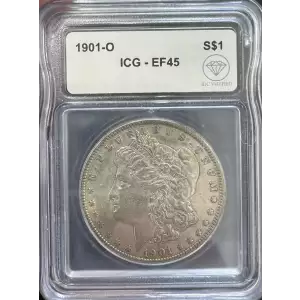 Morgan Silver Dollar (2)