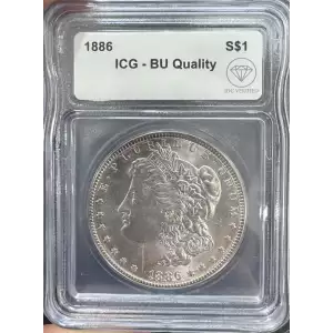 Morgan Silver Dollar