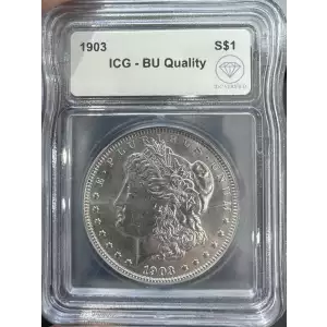 Morgan Silver Dollar (2)