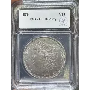 Morgan Silver Dollar (2)