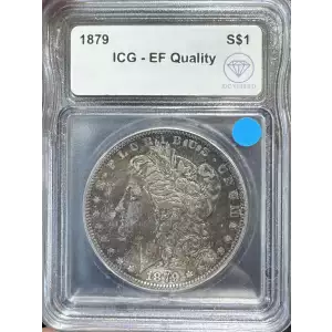 Morgan Silver Dollar