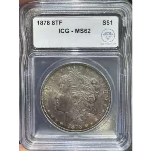 Morgan Silver Dollar (2)