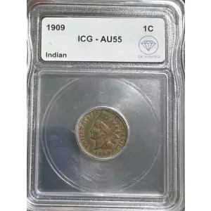 Small Cents-Indian Head 1859-1909 -Copper (2)