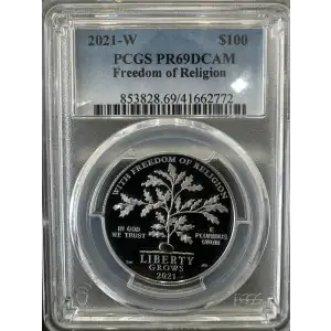 2013 1oz American Platinum Eagle Coin Proof