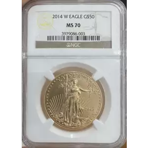2014 W BURNISHED GOLD EAGLE (2)