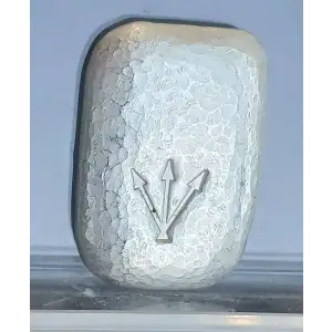 1oz Silver Will Prosper 