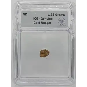 Gold Nugget 1.73 Grams 23.1K