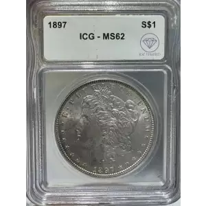 Morgan Silver Dollar (2)
