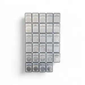 1986-2014 American Silver Eagle NGC MS69 29 Coin Set  (6)