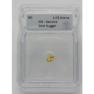 Gold Nugget 1.03 Grams 23.3K