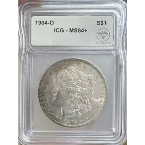 Morgan Silver Dollar