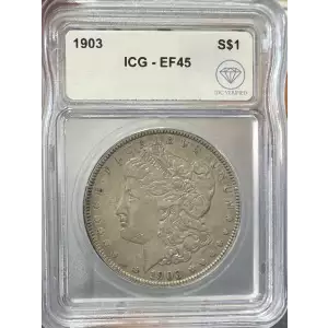 Morgan Silver Dollar