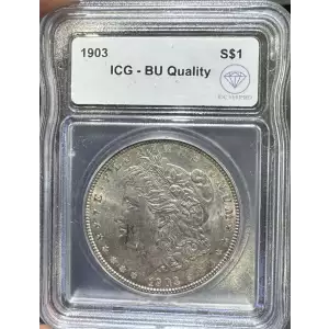 Morgan Silver Dollar